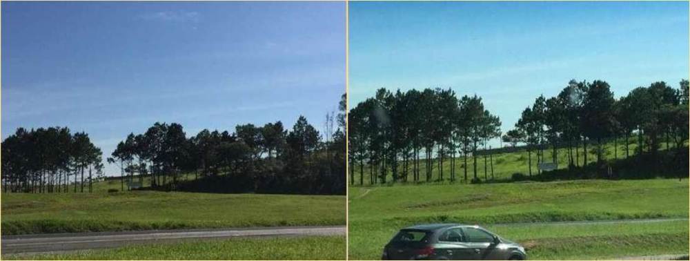 Área comercial de 10.900 m² à venda na Castelo Branco km 91